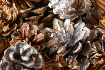 florist's workbench with various decoration elements, decorating an advent wreath, waiting for Christmas