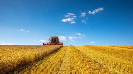 Fototapeta premium Moissonneuse dans les champs de blé au moment des moisson en France.