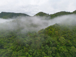 Aerial top view of forest trees with fog mist and green mountain hill at sunset. Nature landscape background, Thailand.