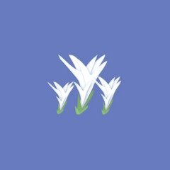 Fototapeta na wymiar illustrazione con fiori di crocus bianchi su sfondo colorato