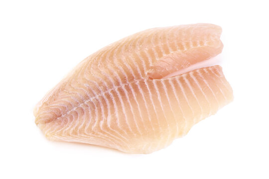 Tilapia fish fillet, isolated on white background.