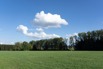 Landschaft in Trossingen