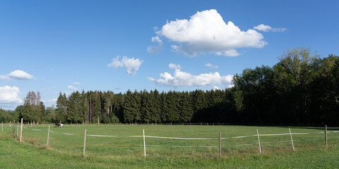 Fototapeta premium Landschaft in Trossingen