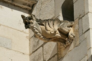 Gargouille sur la façade de l’église Saint-Nicolas-de-Tolentin du monastère royal de Brou à Bourg-en-Bresse