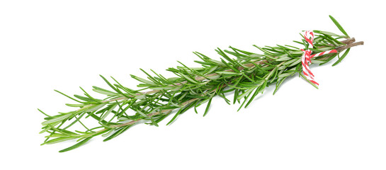 Fresh branches of rosemary with green leaves isolated on white background. Spice for meat, fish