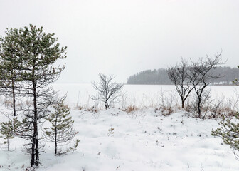 gray foggy winter landscape, falling snow blurred background, fragments of trees