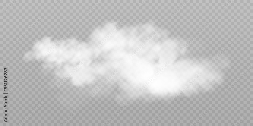 Poster Translucent smoke isolated on a transparent background. Steam effect special effect. Vector texture of steam, fog, cloud, smoke.