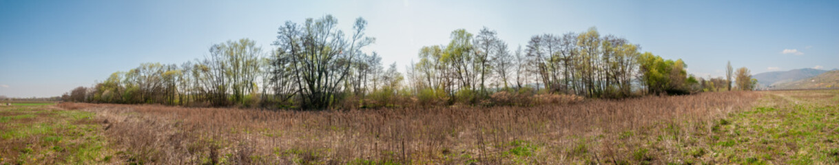 Obraz premium Végétation pour stabiliser les rives de la Weiss, rivière française, Kaysersberg vignoble, CEA, Alsace, Grand Est, France