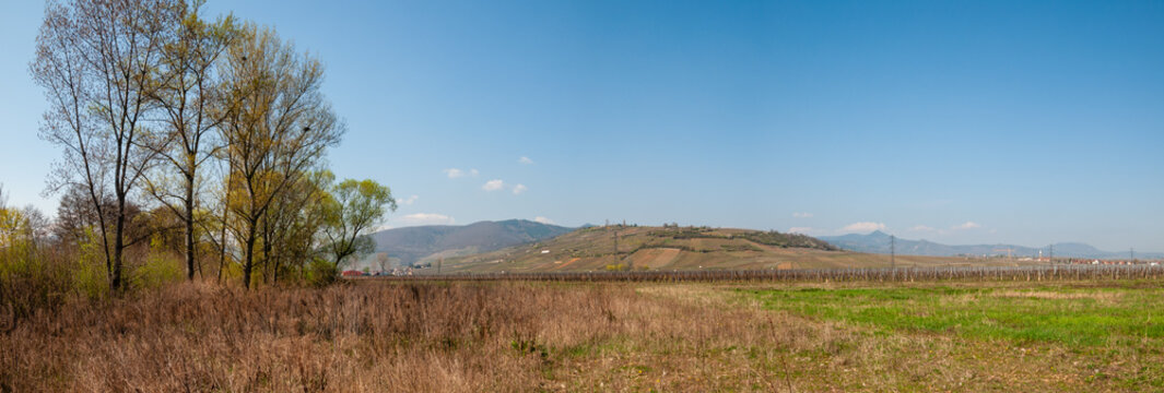 Le Mont de Sigolsheim vu depuis la plaine d'Alsace, CEA, Alsace, Grand Est, France