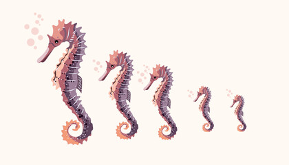 seahorse sea creatures background vector illustration art seahorse - obrazy, fototapety, plakaty