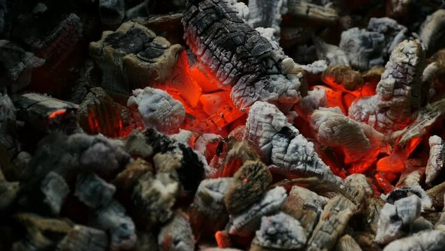 red coals and ashes of a burning fire close-up, loop background