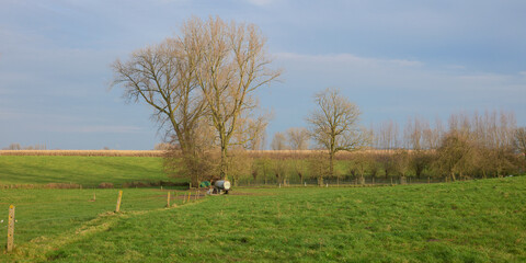 Rural landscape in Flemish Ardennes Flanders Belgium