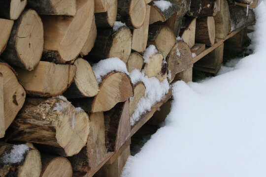 pile of firewood