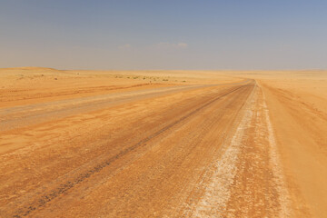 Fototapeta na wymiar Namibian landscape along the gravel road. Namib-Naukluft National Park, Namibia.