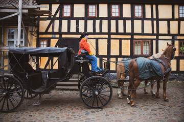 Fototapeta na wymiar The beautiful old Danish horse carriage