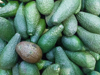 Avocado. Fresh tropical avocado fruit close-up. Well suited for the background. Avocado on a shelf in a supermarket. Background. Texture.