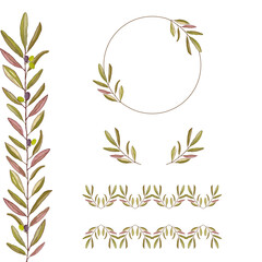 Dibujo vectorial de rama de olivo. Hojas de olivo.