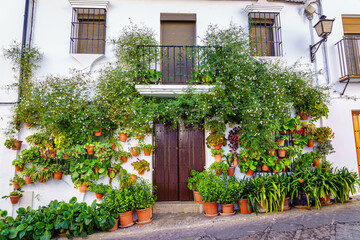 Beautiful facade of white houses decorated with green plants and flowers in clay pots, Cadiz, Spain.
