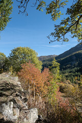 The road in autumn to Navache village, along Claree valley, near Briancon, Hautes-Alpes department, France