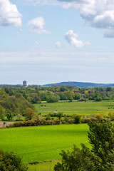Obraz premium Green farmland fields in Skåne Sweden during summer