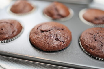Schoko Muffins