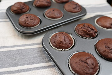 Schoko Muffins