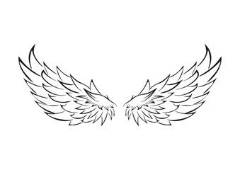 Holy Black Wings On White Background Vector