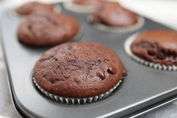 Schoko Muffins