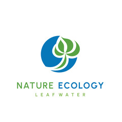Water drop and leaf, Eco nature, spa, aquascape Logotype. Environment, natural liquid. Colorful Vector flat icon logo for business company. Corporate identity design element.