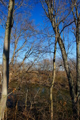 Scioto Grove Metro Park in Autumn, Grove City, Ohio