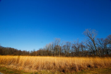 Scioto Grove Metro Park in Autumn, Grove City, Ohio