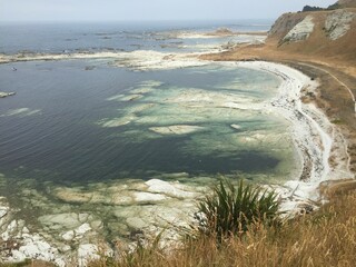 Aftermath of Kaikoura's earthquake