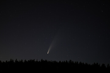 comet visible with naked-eye on a starry night sky above a forest, wide-angle long exposure © Łukasz T.
