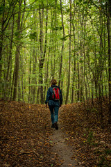 Autumn walk in the forest. A woman with a red backpack hiking on a forest trail in the fall. Green trees and dried leaves. Walking in forest.