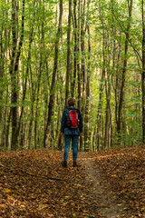Obraz premium Autumn walk in the forest. A woman with a red backpack hiking on a forest trail in the fall. Green trees and dried leaves. Walking in forest.