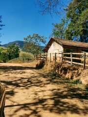 Dirt road in the countryside with wooden house and shady trees