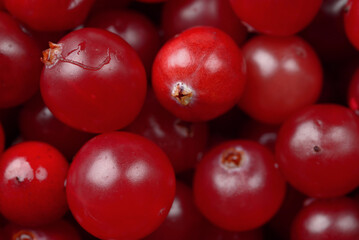 Cranberry close up, macro berries background 