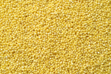 Raw uncooked millet background, millet texture