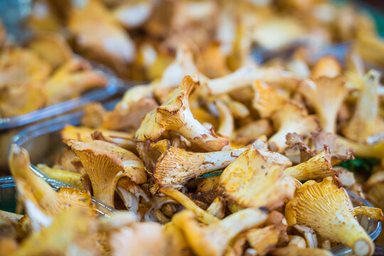 Chanterelles mushrooms stacked together - selective focus