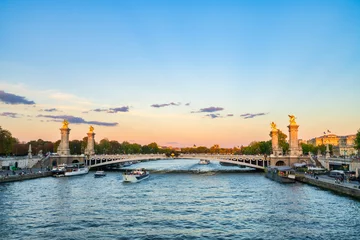 Photo sur Plexiglas Pont Alexandre III Pont Alexandre III bridge at sunset in Paris. France