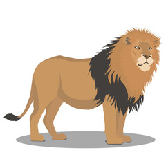 king lion colorful vector on white background
