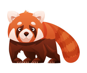 Adorable Red Panda as Small Fluffy Mammal with Dense Reddish-brown Fur and Ringed Tail Standing Vector Illustration