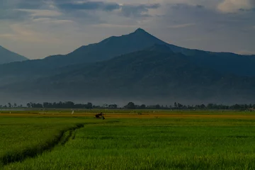 Foto op Canvas Green expanse of rice fields with views of mountains and hills in cloudy sky weather © MdzFahmi
