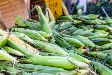 Corn for sale at farmers' market