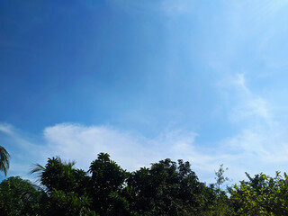 clouds over the sky in the forest