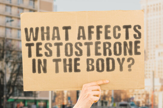 The question " What affects testosterone in the body? " is on a banner in men's hands with blurred background. Man. High. Health. Level. Medicine. Medical. Hormone. Chemical. Formula. Laboratory