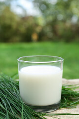 Glass of fresh milk and green grass on table