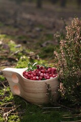 Many ripe lingonberries in wooden cup on sunny day outdoors