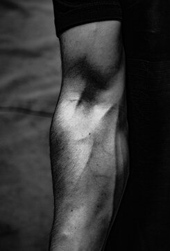 Arm of a muscular climber - Contraction of the biceps and triceps