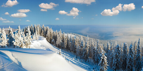 Winter rime and snow covered hill top with fir trees and  snowdrifts (Carpathian Mountains,...
